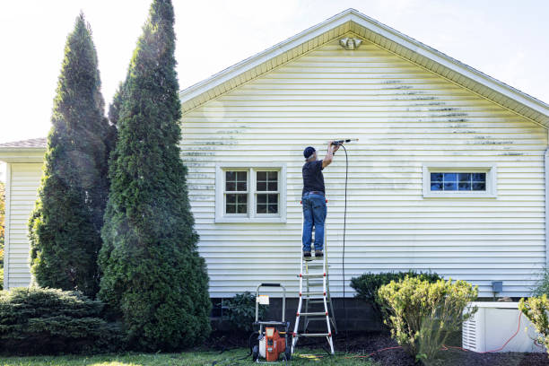 Best Commercial Building Pressure Washing  in Sappington, MO