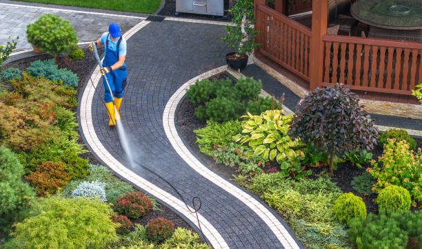 Best Pressure Washing Driveway  in Sappington, MO